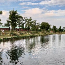 今季２匹目のイトウをキャッチ ～フィッシングパーク高島の泉～